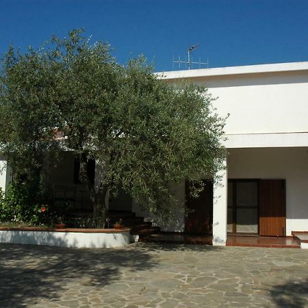 Villa Sarda Sorso Exteriér fotografie