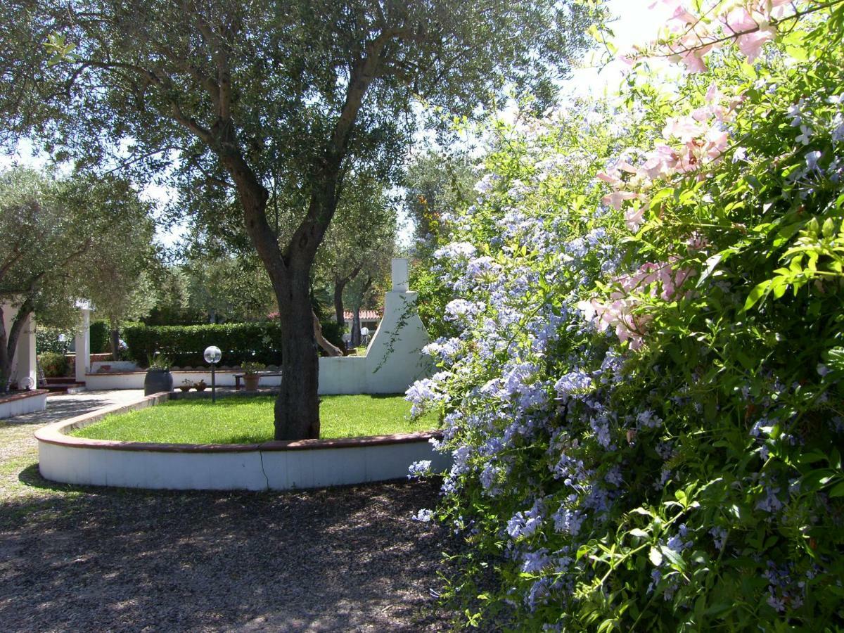 Villa Sarda Sorso Exteriér fotografie