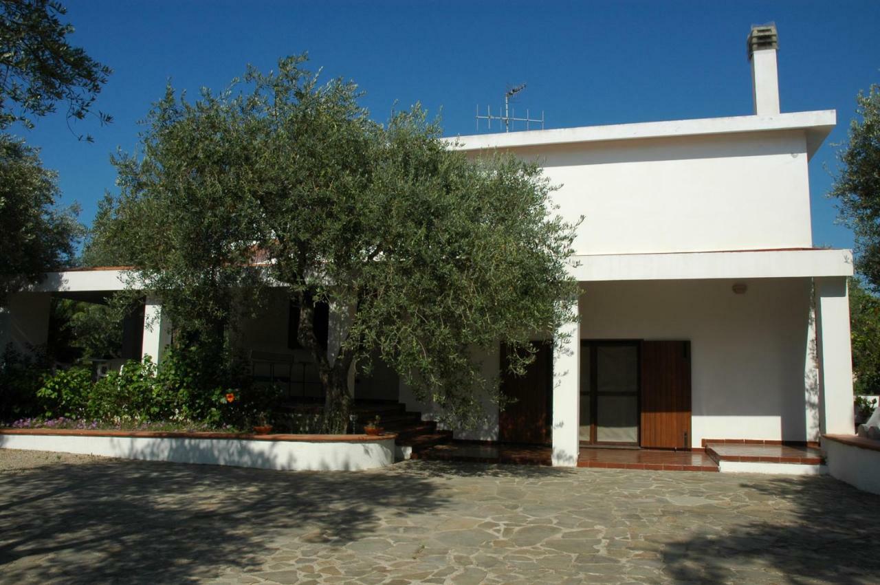 Villa Sarda Sorso Exteriér fotografie